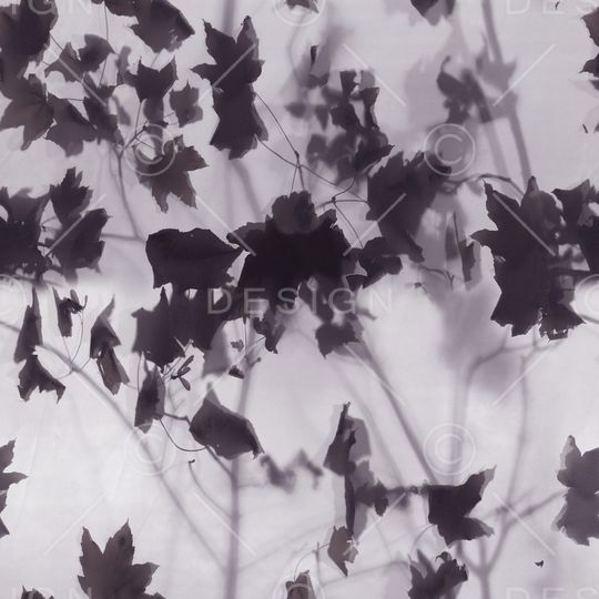 DIOR印花华亿平台图片