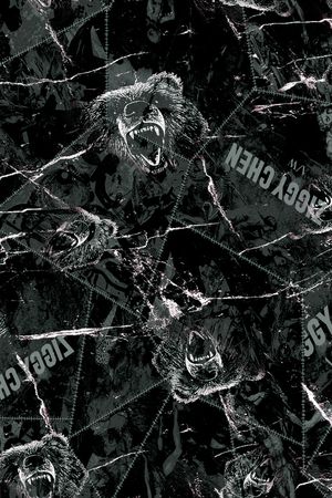 格子印花华亿平台图片