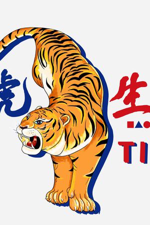 胸前独幅印花华亿平台图片