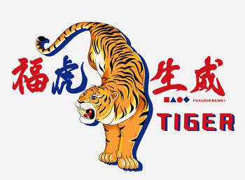 胸前独幅印花华亿平台图片