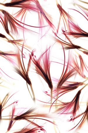 清爽底花卉印花华亿平台图片