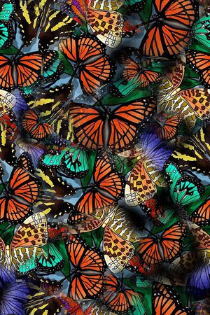 花卉蝴蝶印花华亿平台图片