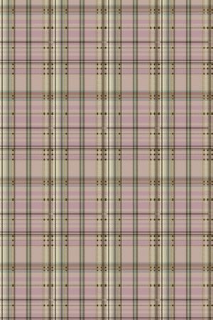 格子印花华亿平台图片