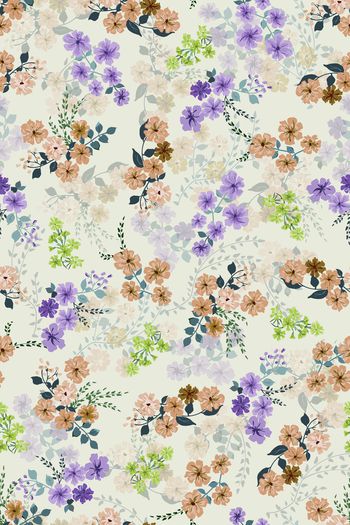 1453702-花卉20055-2