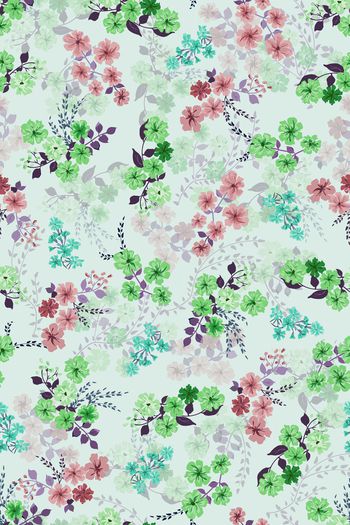 1453703-花卉20055-3