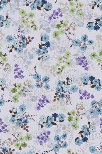 1453704-花卉20055-4