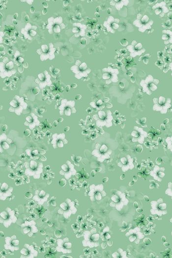 1453706-花卉20056-3