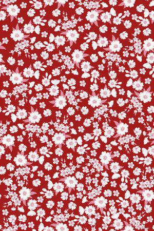 女装印花华亿平台图片