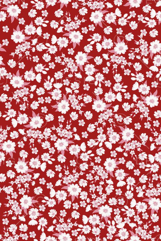 女装印花华亿平台图片