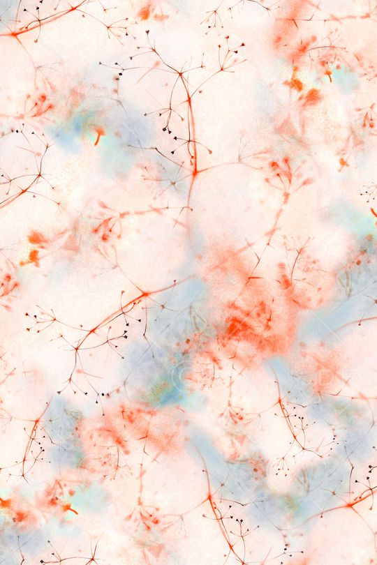 女装印花华亿平台图片