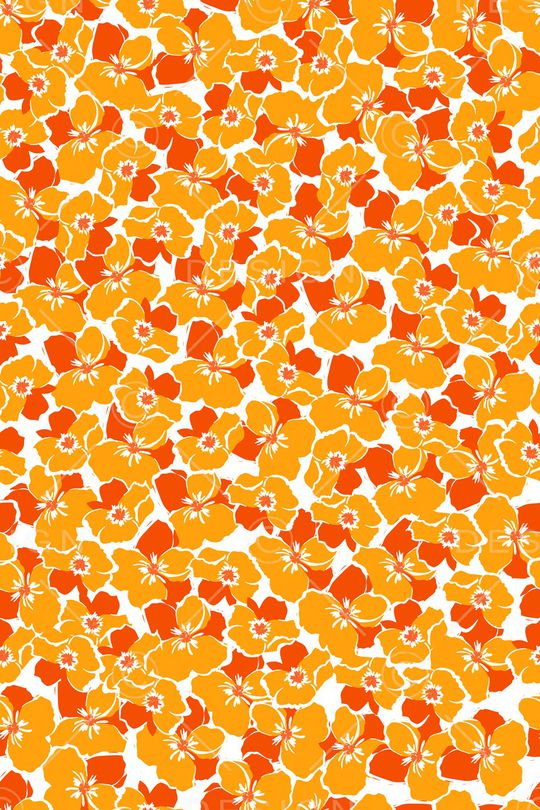 女装印花华亿平台图片