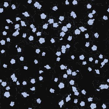 1454566-20210929-nz-3-00