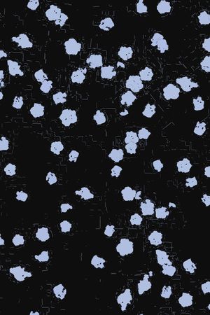 大牌风印花华亿平台图片