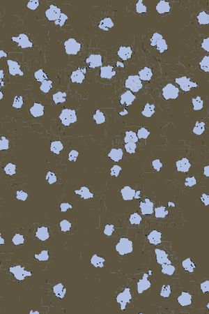 大牌风印花华亿平台图片