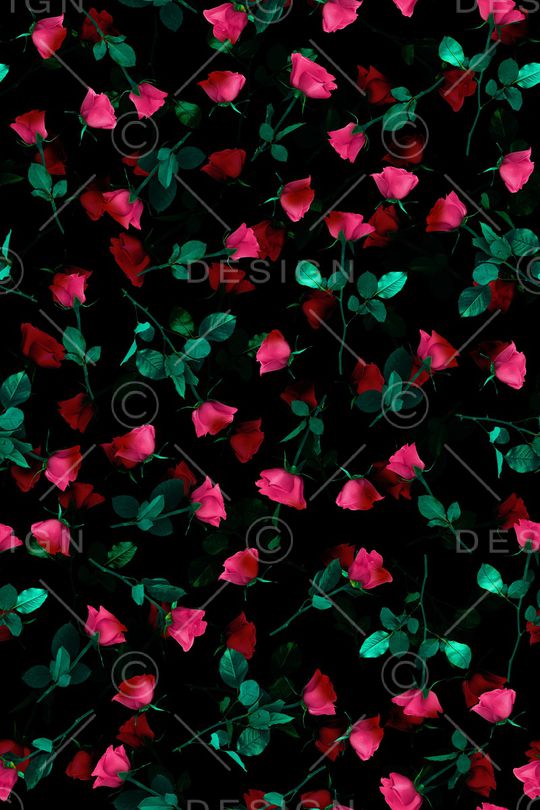 玫瑰花印花华亿平台图片