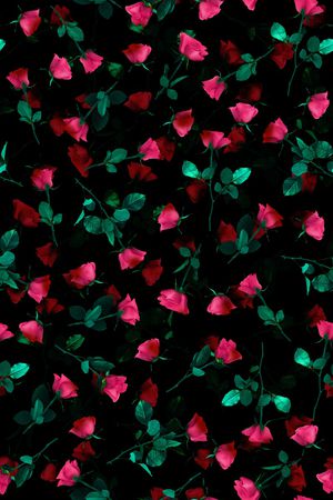 玫瑰花印花华亿平台图片