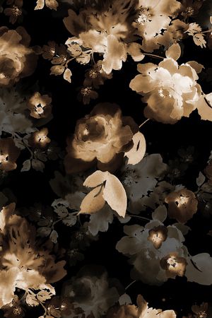 黑底花卉印花华亿平台图片