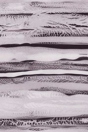 DIOR印花华亿平台图片