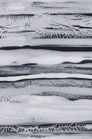 DIOR印花华亿平台图片