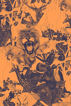 复古印花华亿平台图片