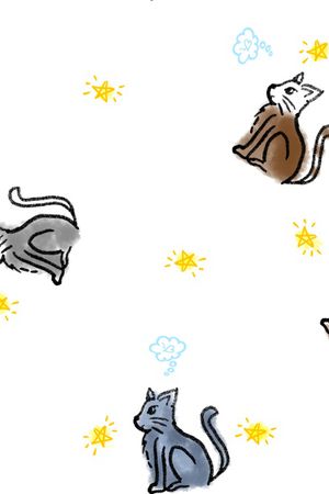 星星印花华亿平台图片