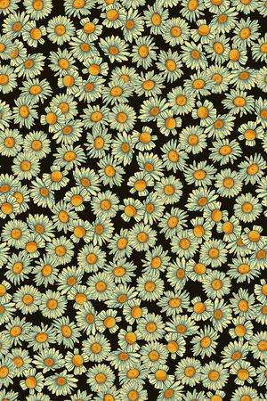 女装印花华亿平台图片