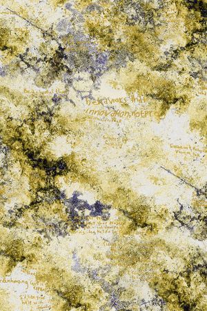 肌理印花华亿平台图片