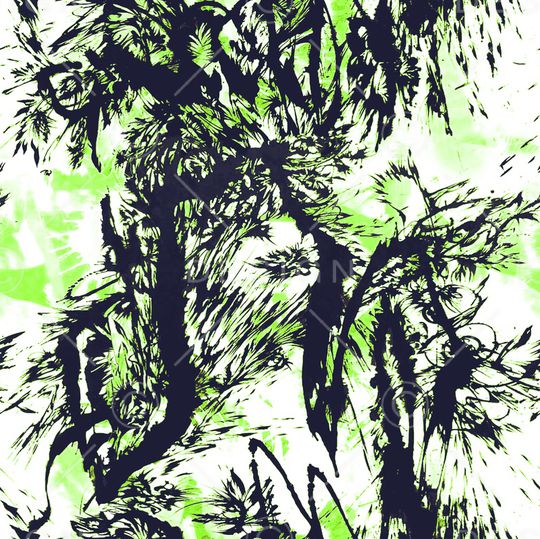 DIOR印花华亿平台图片