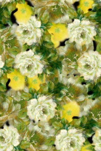 1455773-花卉20060-2