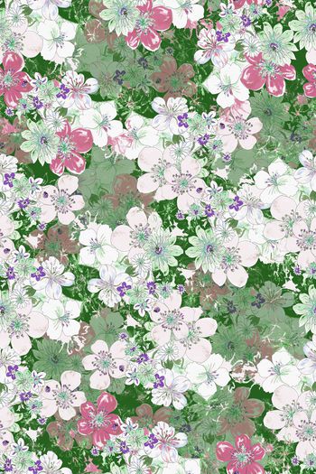 1455779-花卉20062-2