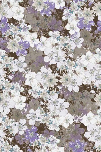 1455781-花卉20062-4