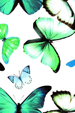 定位花印花华亿平台图片