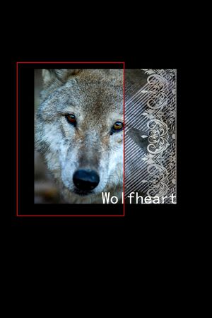 动物头印花华亿平台图片