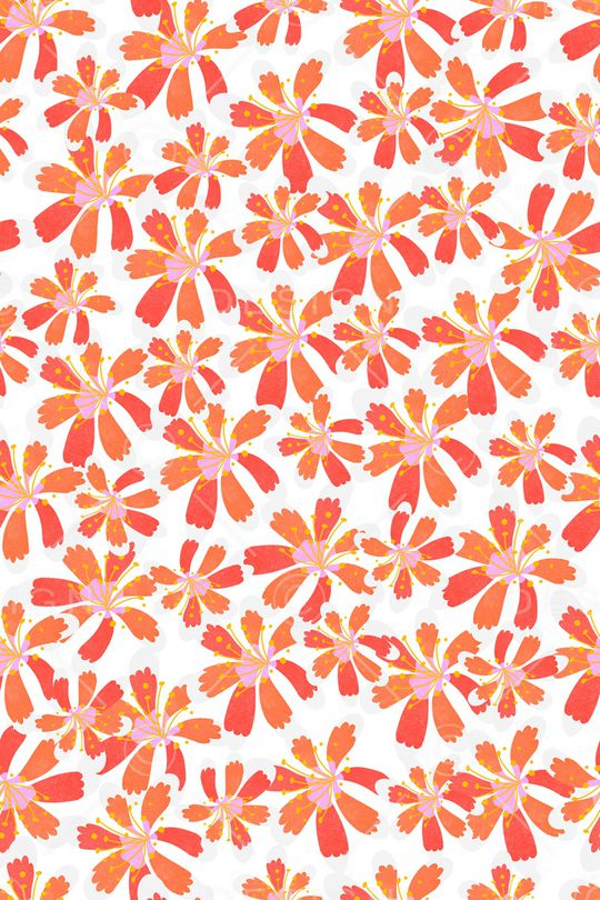 女装印花华亿平台图片