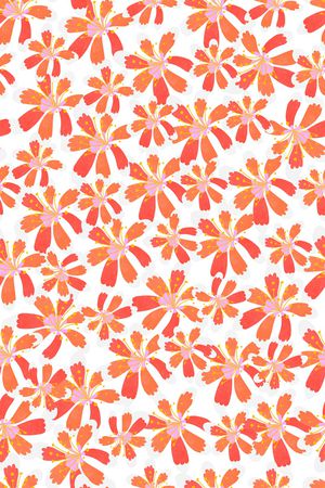 女装印花华亿平台图片