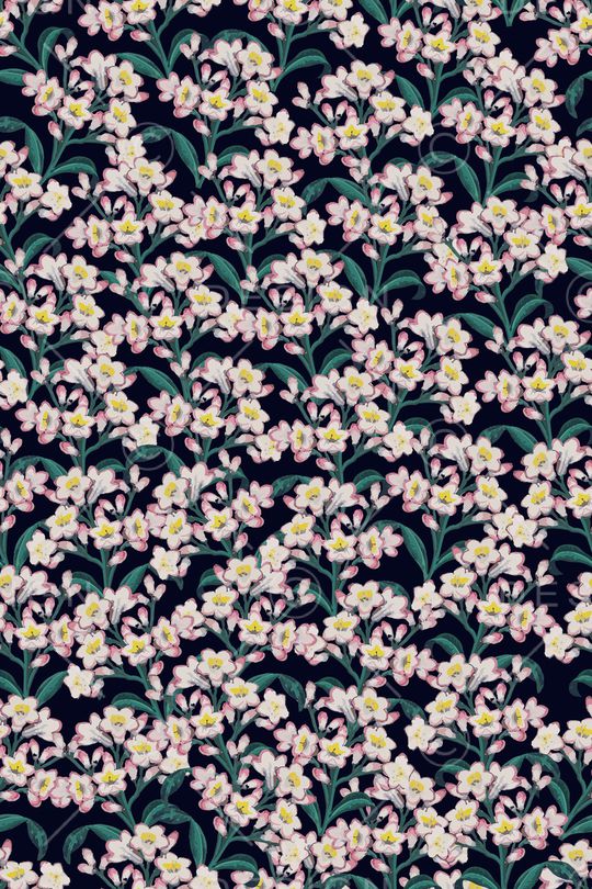 女装印花华亿平台图片