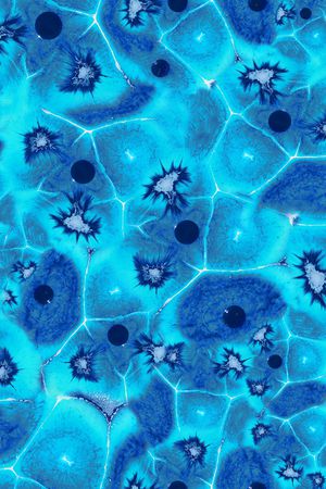 男装印花华亿平台图片