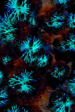 男装印花华亿平台图片