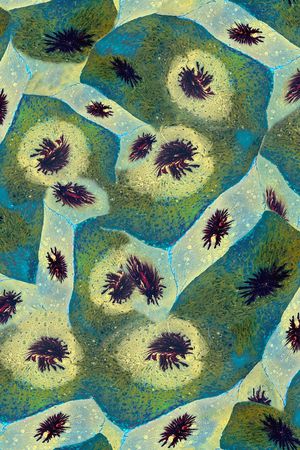 男装印花华亿平台图片