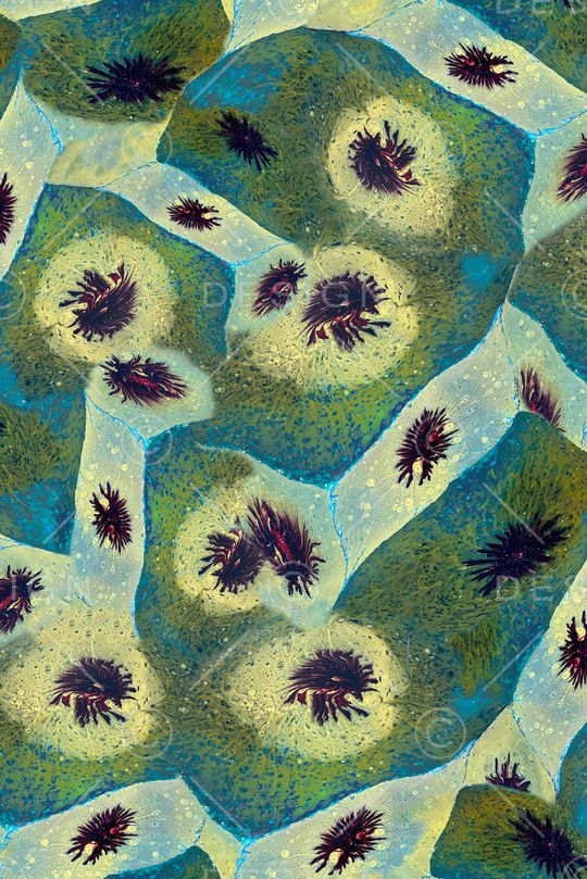 男装印花华亿平台图片