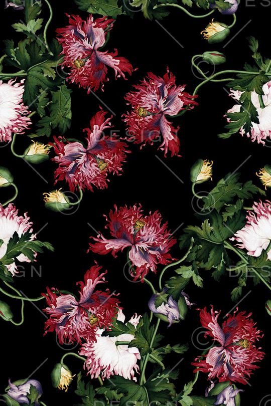 黑底花卉印花华亿平台图片