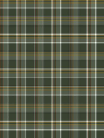 1456550-2020-08-15-1