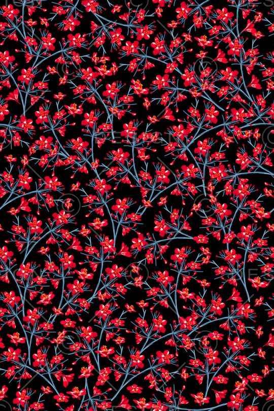 女装印花华亿平台图片