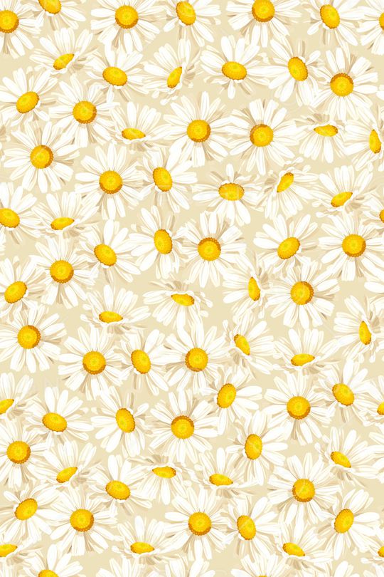 女装印花华亿平台图片