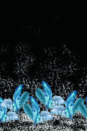 羽毛印花华亿平台图片