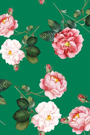 大牌风印花华亿平台图片