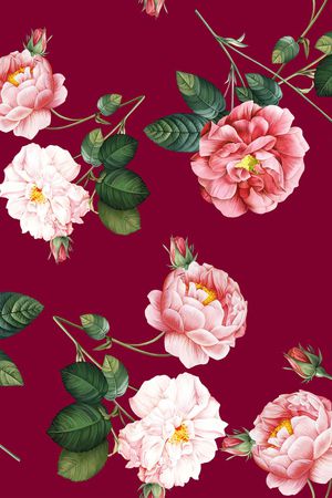 DOLCE GABBANA印花华亿平台图片