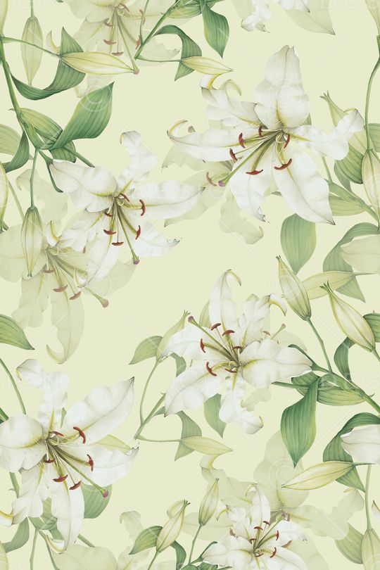 清爽底花卉印花华亿平台图片