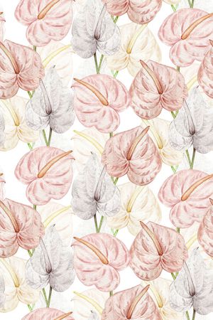 清爽底花卉印花华亿平台图片