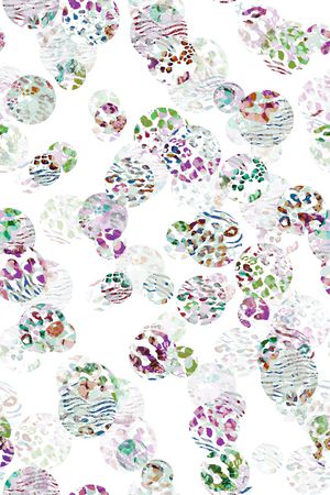 时尚印花华亿平台图片